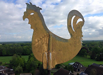 Haan voor de Renovatie       
